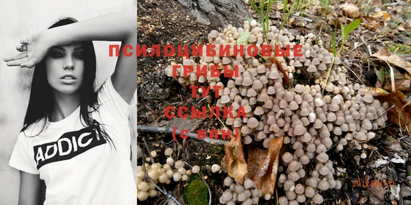 тгк Заволжск
